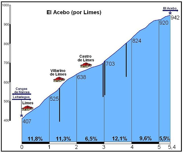 acebo-por-limes_7f23f962