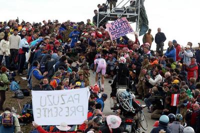 bettiniphoto_0027740_1_full