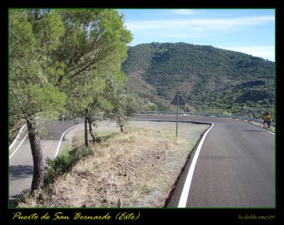 san bernardo foto san bernardo foto