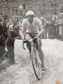 Adolfo Leoni_rosa 1949.