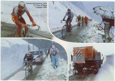 Gavia1988