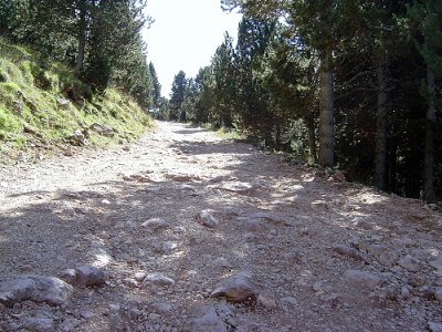 En 2010 la pista se había degradado mucho, solo apta para BTT. Foto de Maria F. Foz.