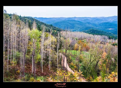 Parque Natural del Montseny. De FelixGP en flickr.