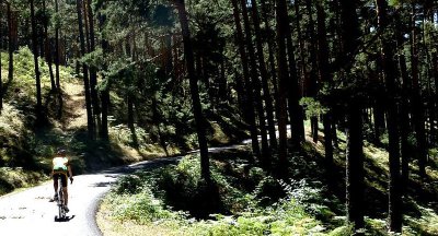 Precioso tránsito por los Pinares de Valsaín. Foto de Burum.