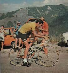 MERCKX PRA LOUP