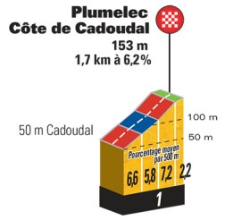 plumelec-cote-cadoudal