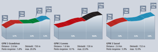grandsivaz-lovens-sassel_bulle_romandia 2017
